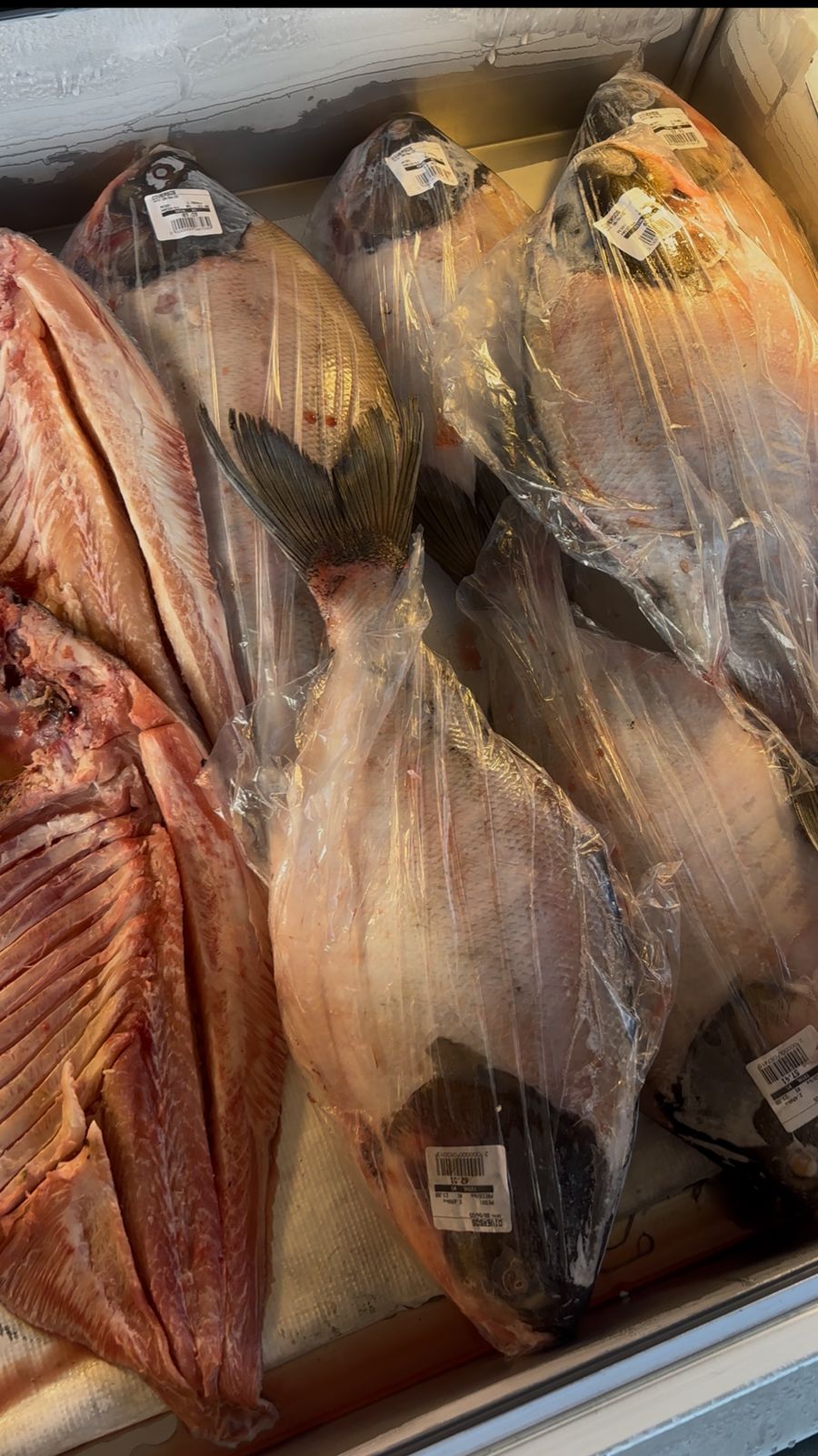 proximo-a-semana-santa,-peixe-falta-no-acre-e-comerciantes-compram-produto-de-rondonia:-“vergonha”