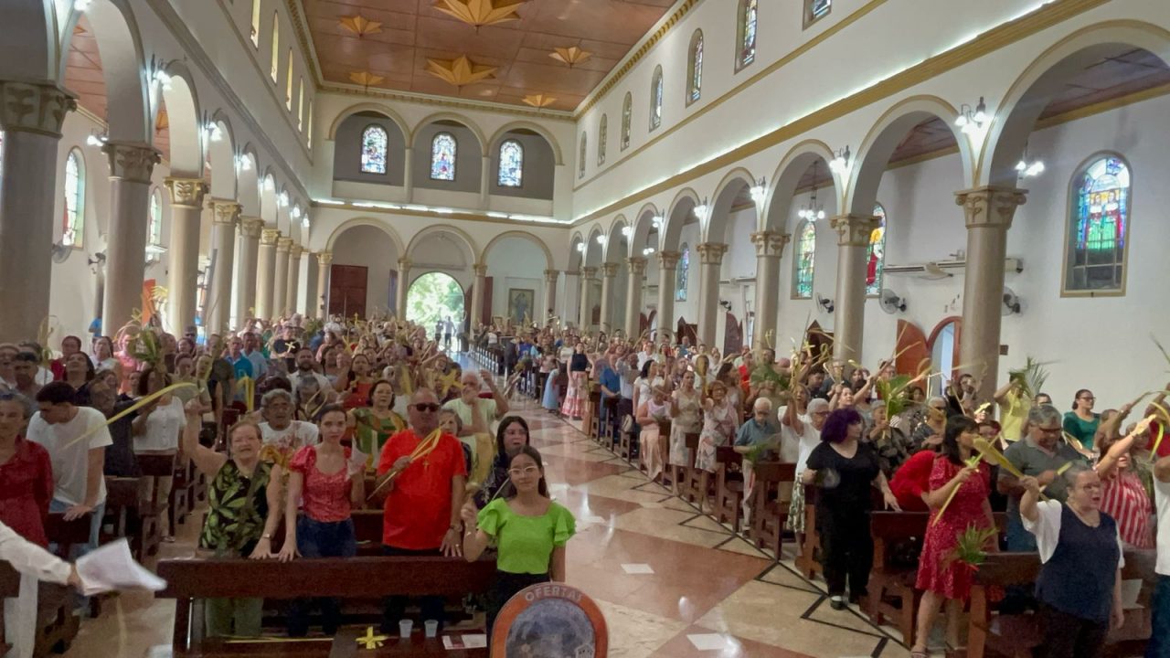 fieis-participam-de-missa-e-procissao-de-ramos-na-catedral-nossa-senhora-de-nazare;-veja-video