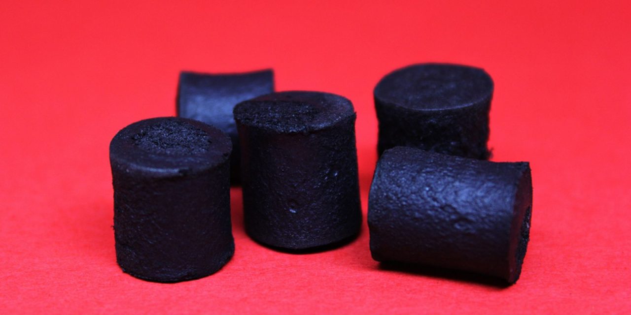 bagaco-de-cana-vira-embalagem-ecologica-para-equipamentos-eletronicos