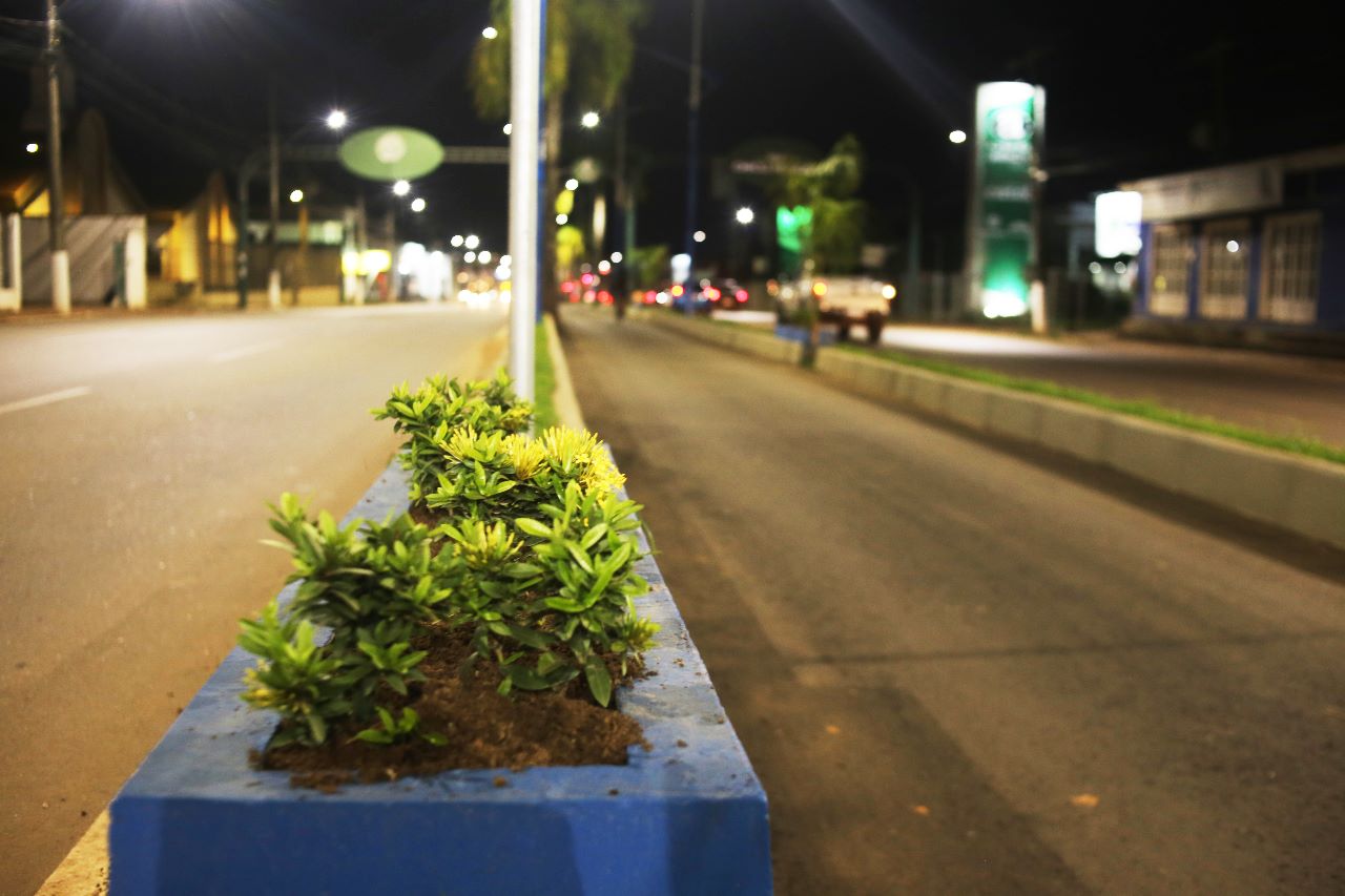 acre-a-amazonas-sao-as-cidades-com-menor-arborizacao-urbana-do-pais,-segundo-ibge