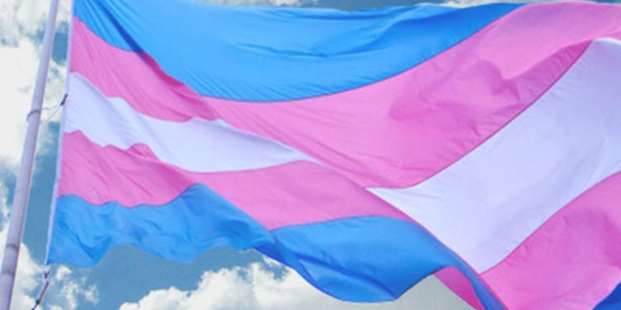 familias-reagem-a-veto-de-terapias-hormonais-para-menores