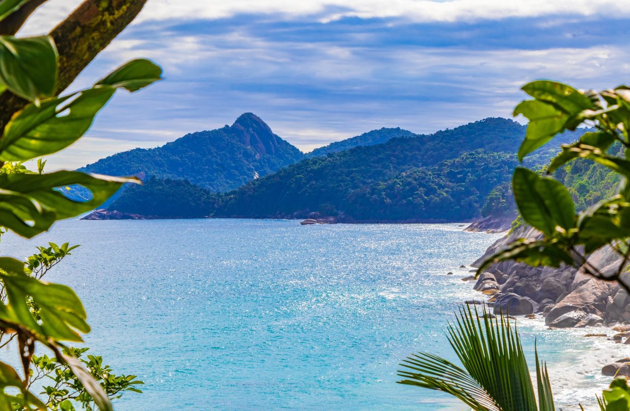 ilha-turistica-brasileira-recebe-titulo-de area-de-conservacao-de-morcegos