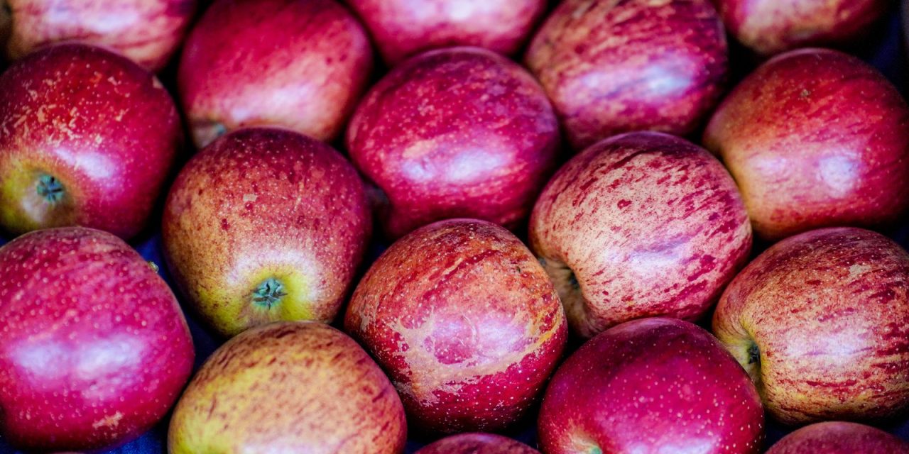 exportacao-de-frutas-cresceu-26%-no-primeiro-trimestre-de-2025