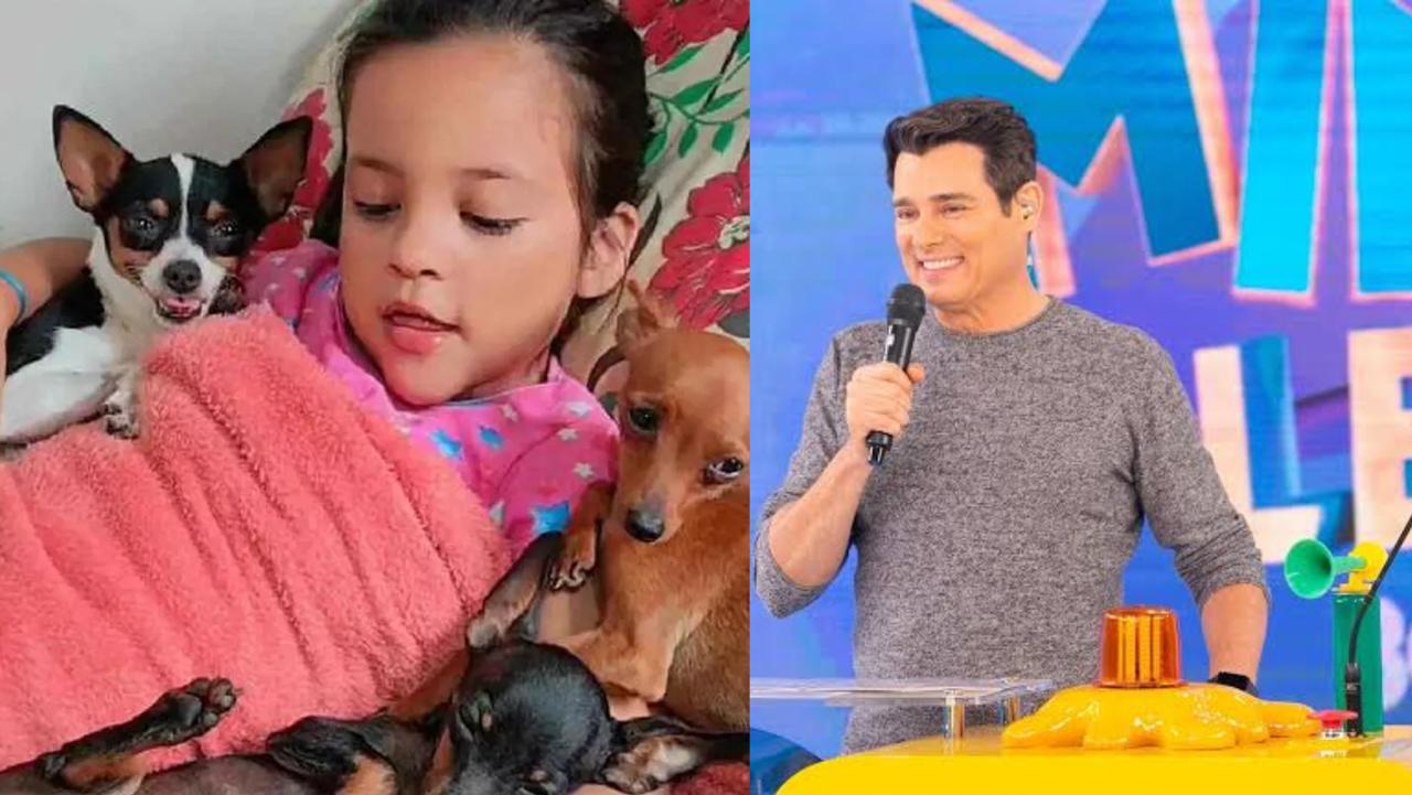 acreana-de-7-anos,-“encantadora-de-pinschers”,-representara-o-estado-no-domingo-legal-do-sbt