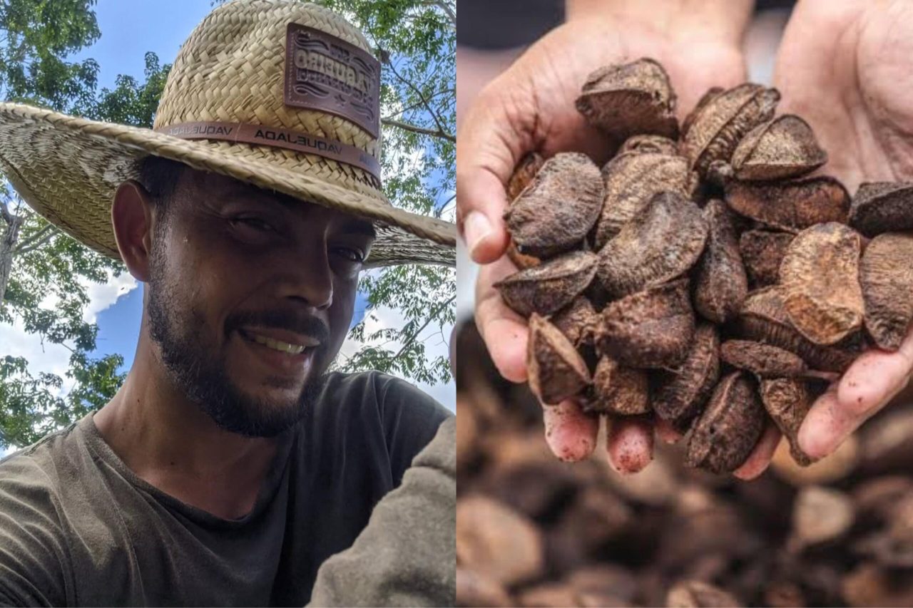 primo-de-chico-mendes-contesta-titulo-de-‘capital-da-castanha’-a-sena-madureira-e-defende-xapuri