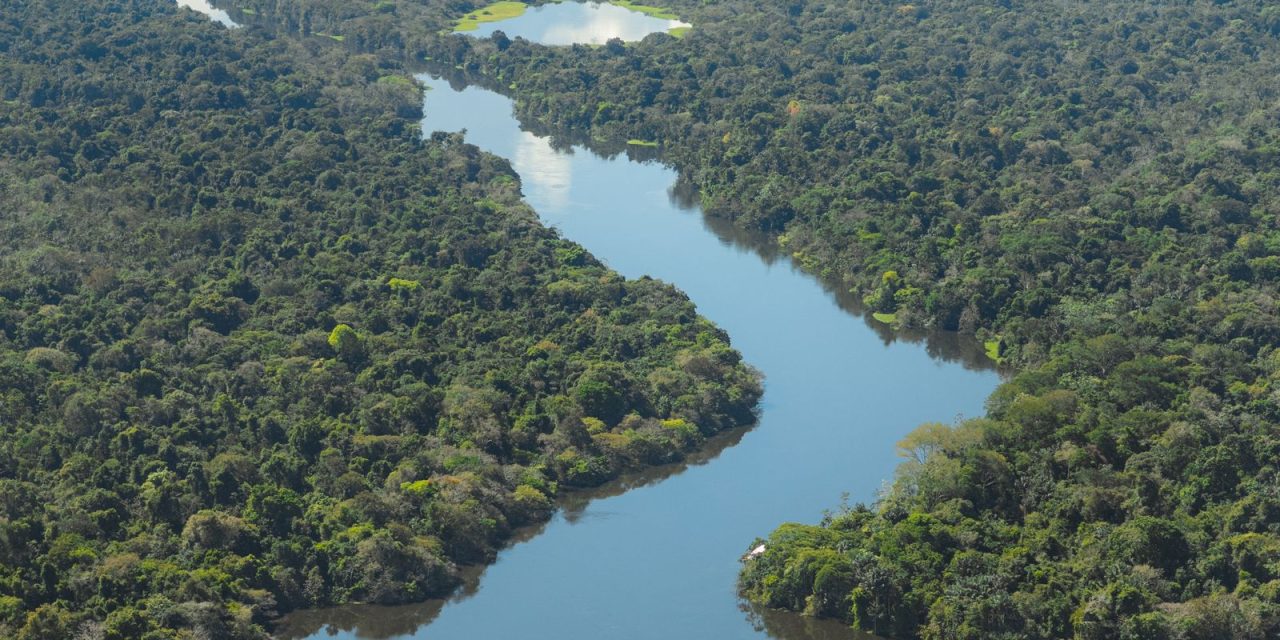 cop30:-museu-goelbi-promove-ciclo-de-debates-sobre-a-amazonia