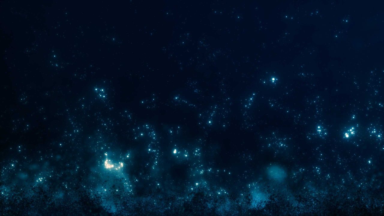 nunca-registramos-tantas-especies-diferentes-no-oceano-profundo-como-agora