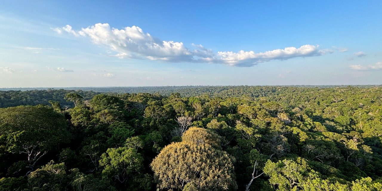 conheca-propostas-para-politicas-ambientais-debatidas-em-conferencia