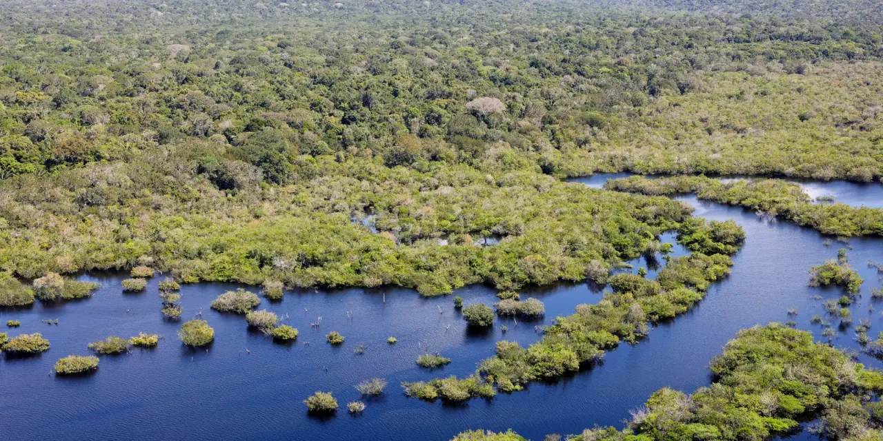 quase-todos-os-biomas-registraram-reducao-do-desmatamento-em-2024