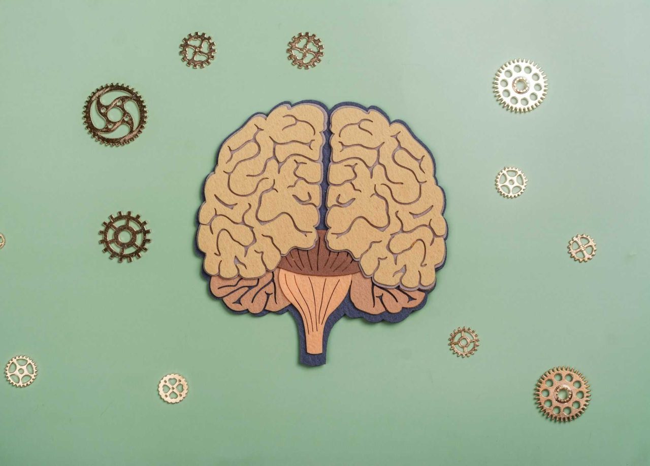 estudo-brasileiro-descobre-molecula-que-reverte-declinio-cognitivo