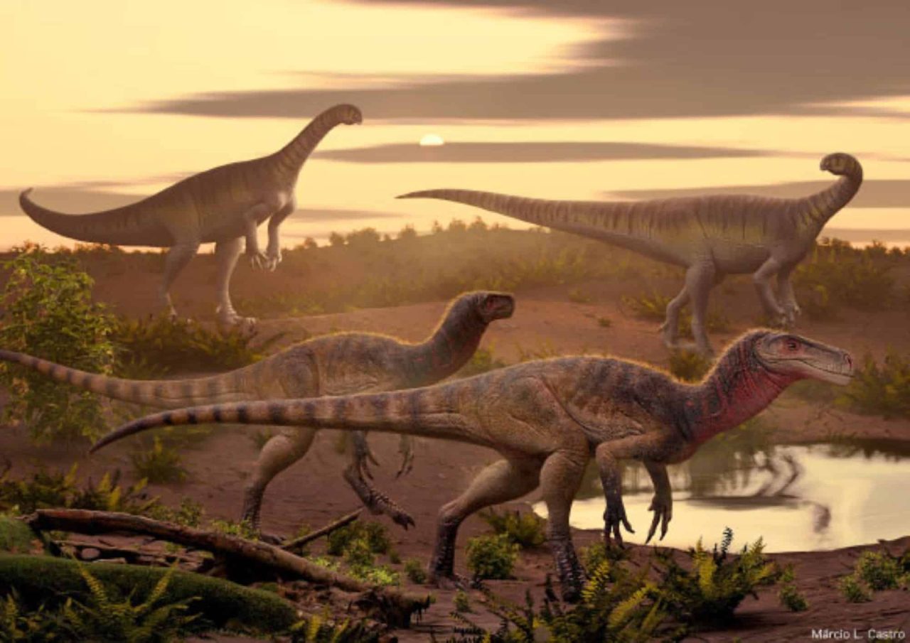 predador-do-passado:-nova-especie-de-velociraptor-descoberta