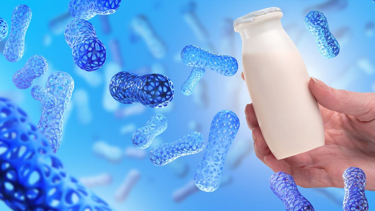 conheca-as-10-bacterias-essenciais-para-o-equilibrio-do-nosso-corpo