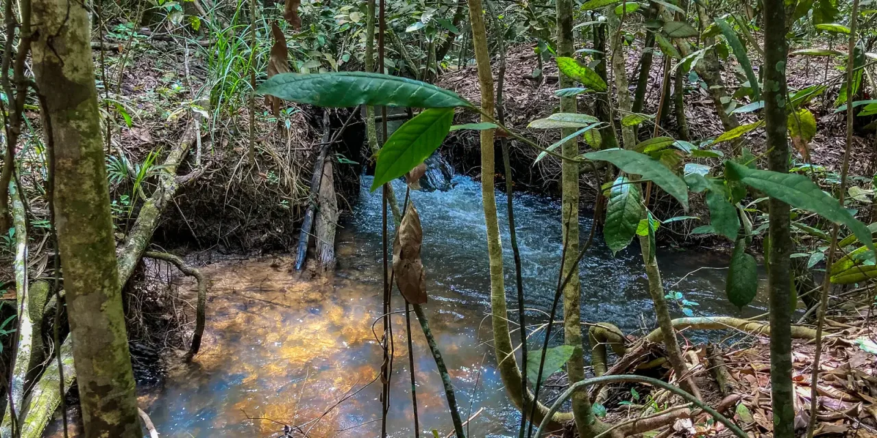inscricoes-para-bolsa-de-estudos-na-area-de-agroecologia-vao-ate-sexta