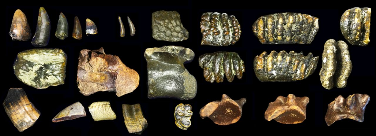 fosseis-submersos-revelam-que-humanos-antigos-habitaram-ilha-isolada