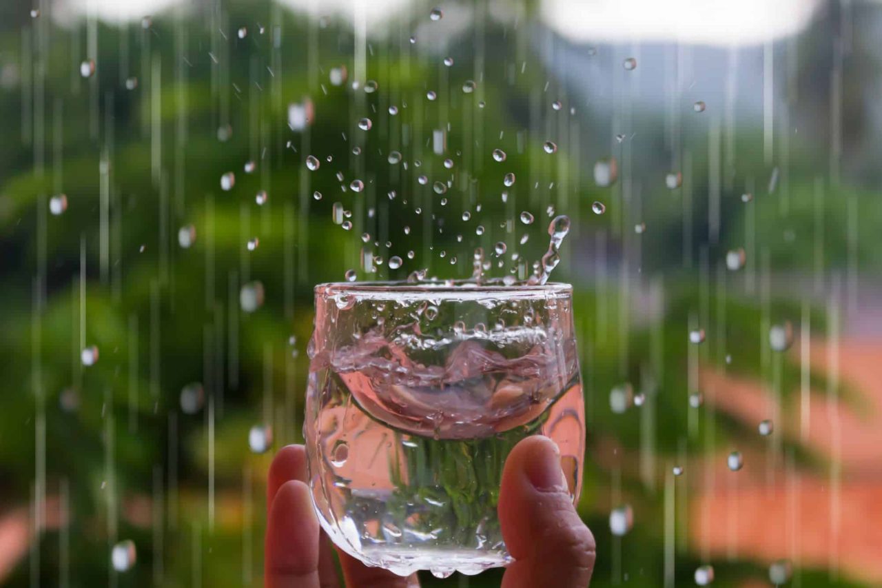 por-que-e-perigoso-beber-agua-da-chuva?