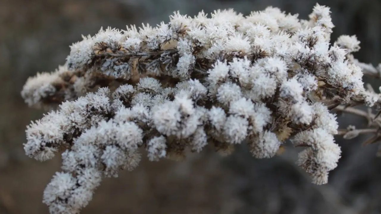 frente-fria-pode-fazer-nevar-no-rio-grande-do-sul;-confira-a-previsao