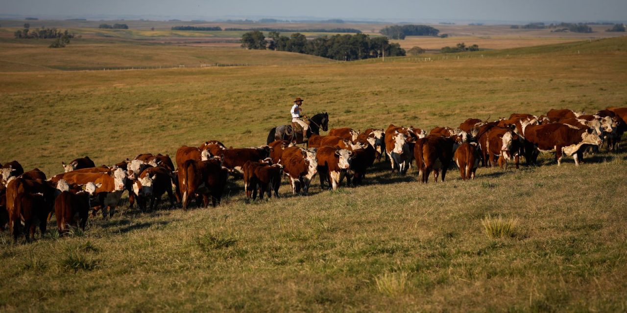 pib-cresce-1,4%-no-primeiro-trimestre-de-2025