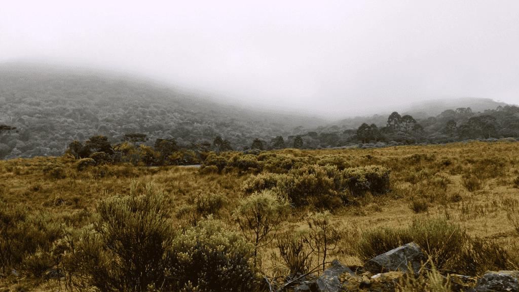 em-clima-de-frio,-conheca-8-cidades-do-pais-que-enfrentam-baixas-temperaturas