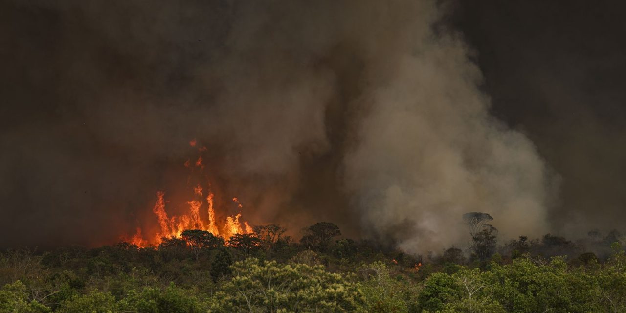 camara-aprova-aumento-de-punicao-a-quem-provocar-incendios-florestais