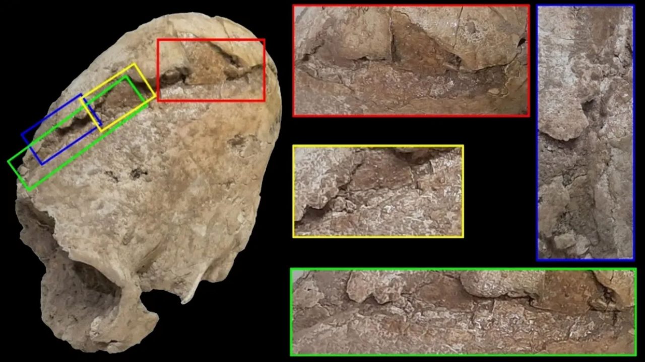 cranio-conico-de-6-mil-anos-e-achado-com-ferimento-misterioso