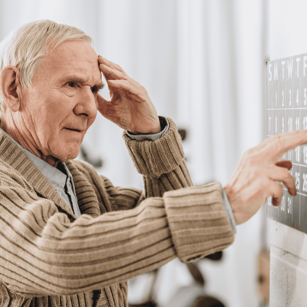 animais-robos-ajudam-pacientes-com-demencia