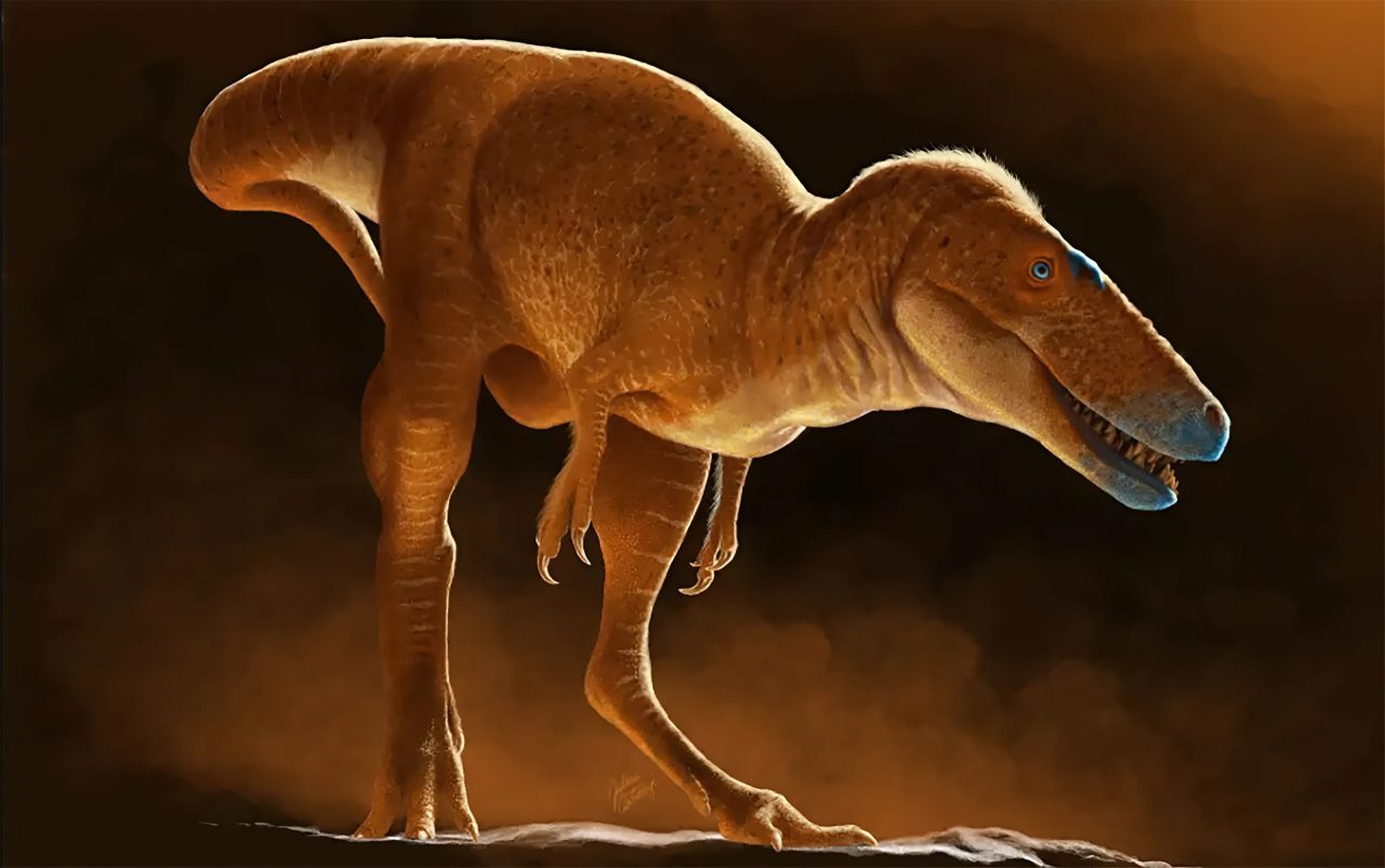 dinossauro-recem-descoberto-muda-tudo-o-que-se-sabe-sobre-a-evolucao-do-tiranossauro