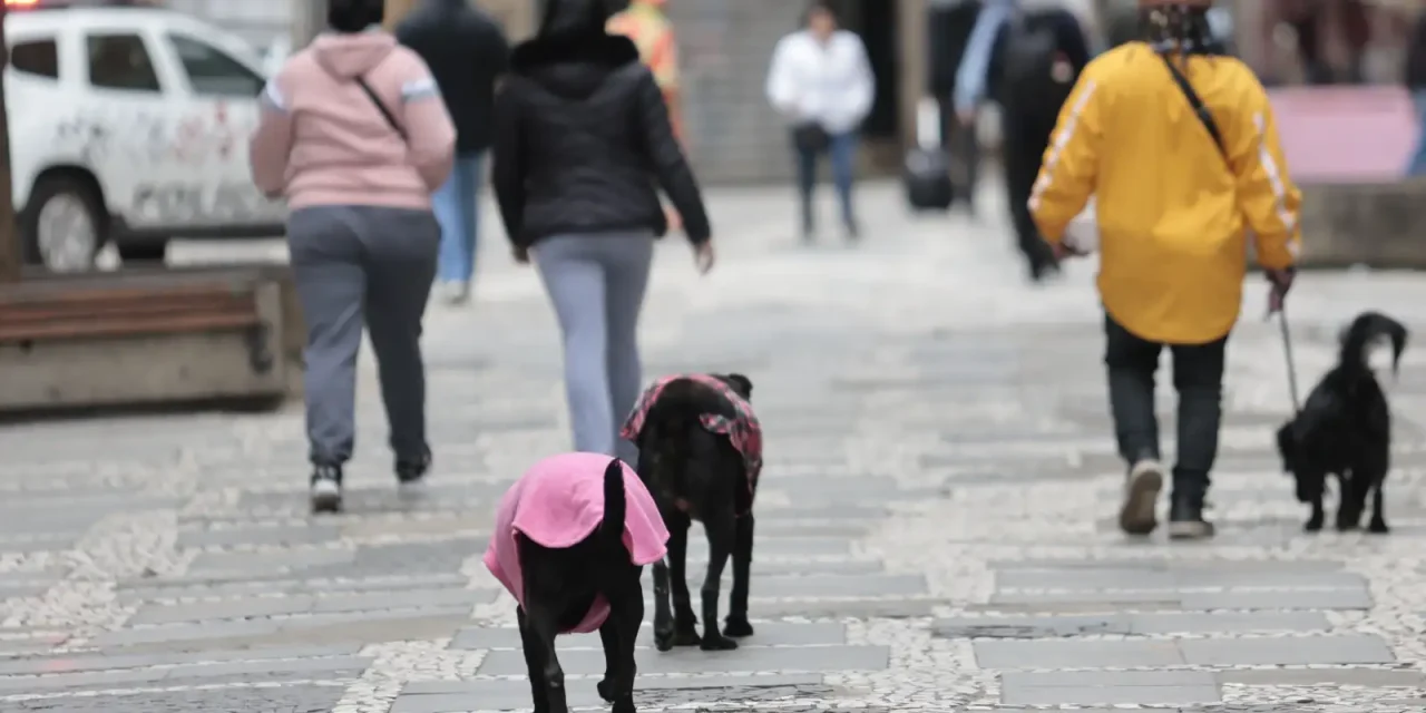 parque-nacional-do-itatiaia-registra-menor-temperatura-do-ano:-9,4oc