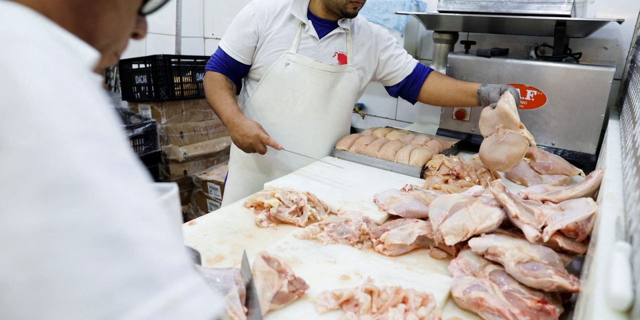 gripe-aviaria:-17-paises-suspendem-restricao-a-carne-brasileira