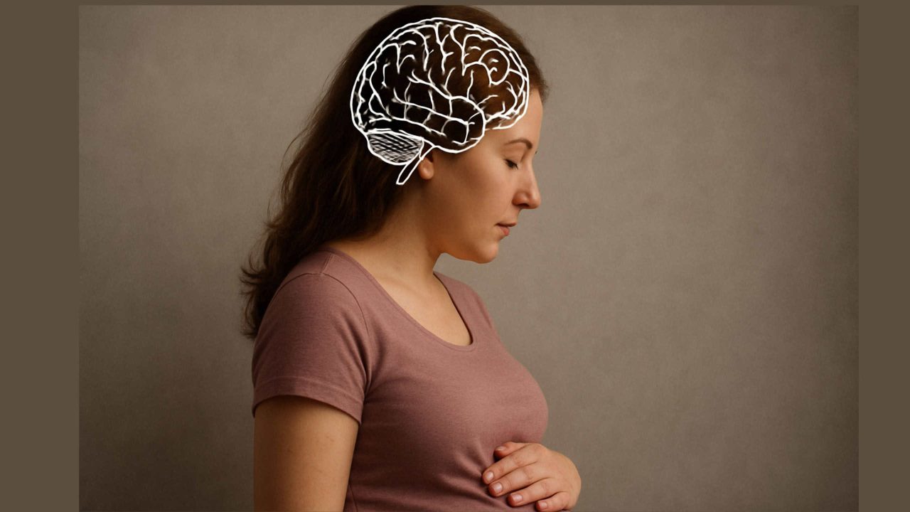 o-que-acontece-no-cerebro-durante-a-gravidez?