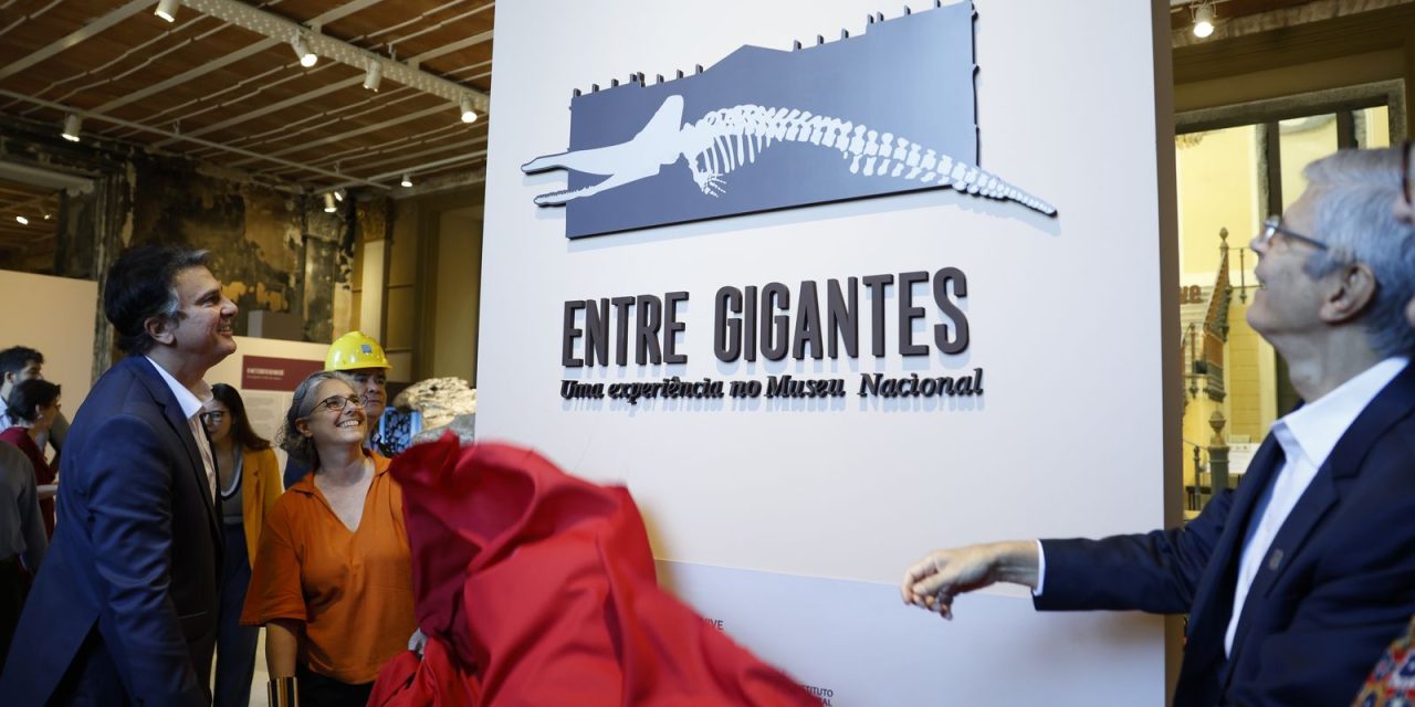 museu-nacional-do-rio-reabre-para-exposicao-sete-anos-apos-incendio