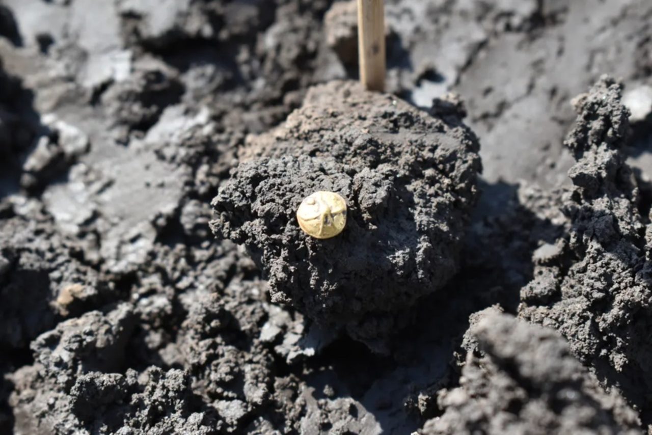 tesouro-celta-de-2.200-anos-e-descoberto-na-republica-tcheca