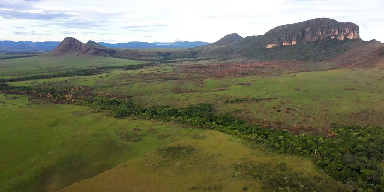 bndes-aprova-r$150-milhoes-para-prevencao-e-combate-a-incendios