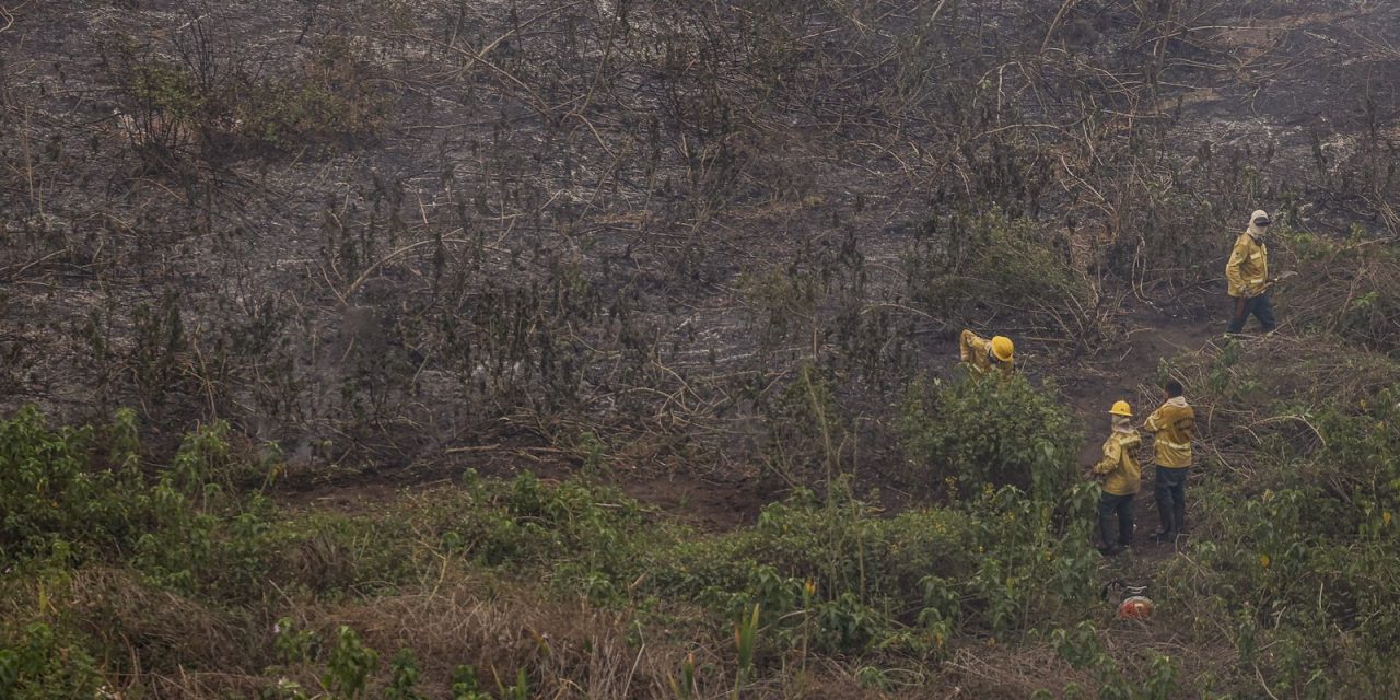 defesa-civil-realiza-missao-nos-estados-da-amazonia-legal-e-pantanal