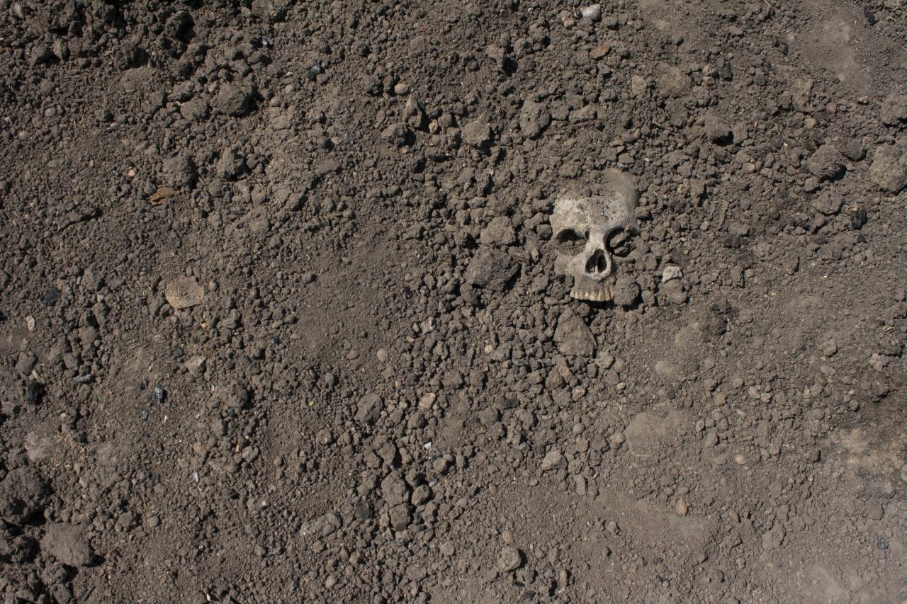 esqueleto-de-2-metros-de-altura-e-descoberto-em-tumulo-milenar-no-azerbaijao