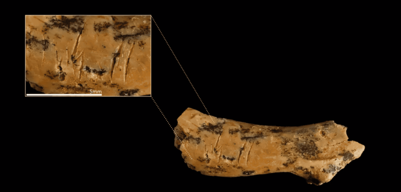 caso-milenar-de-canibalismo-descoberto-em-sitio-arqueologico