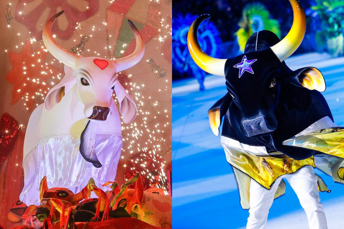 derrotado,-caprichoso-pedira-anulacao-do-resultado-de-parintins