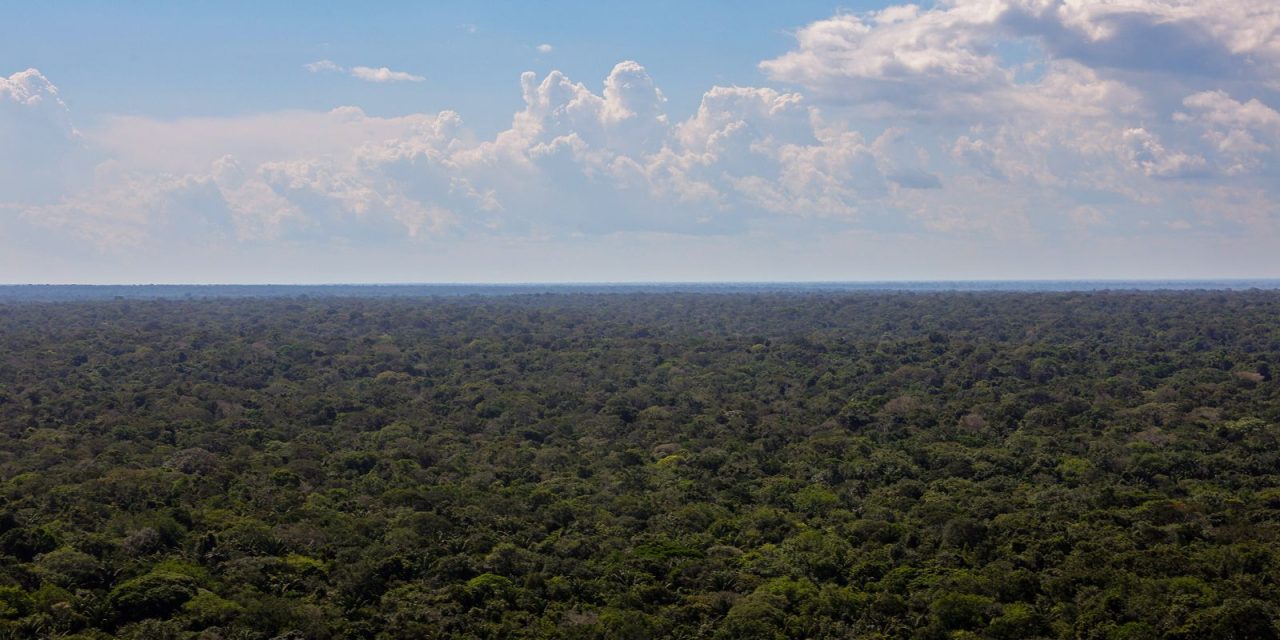 organizacoes-sociais-propoem-plano-para-investimentos-na-amazonia