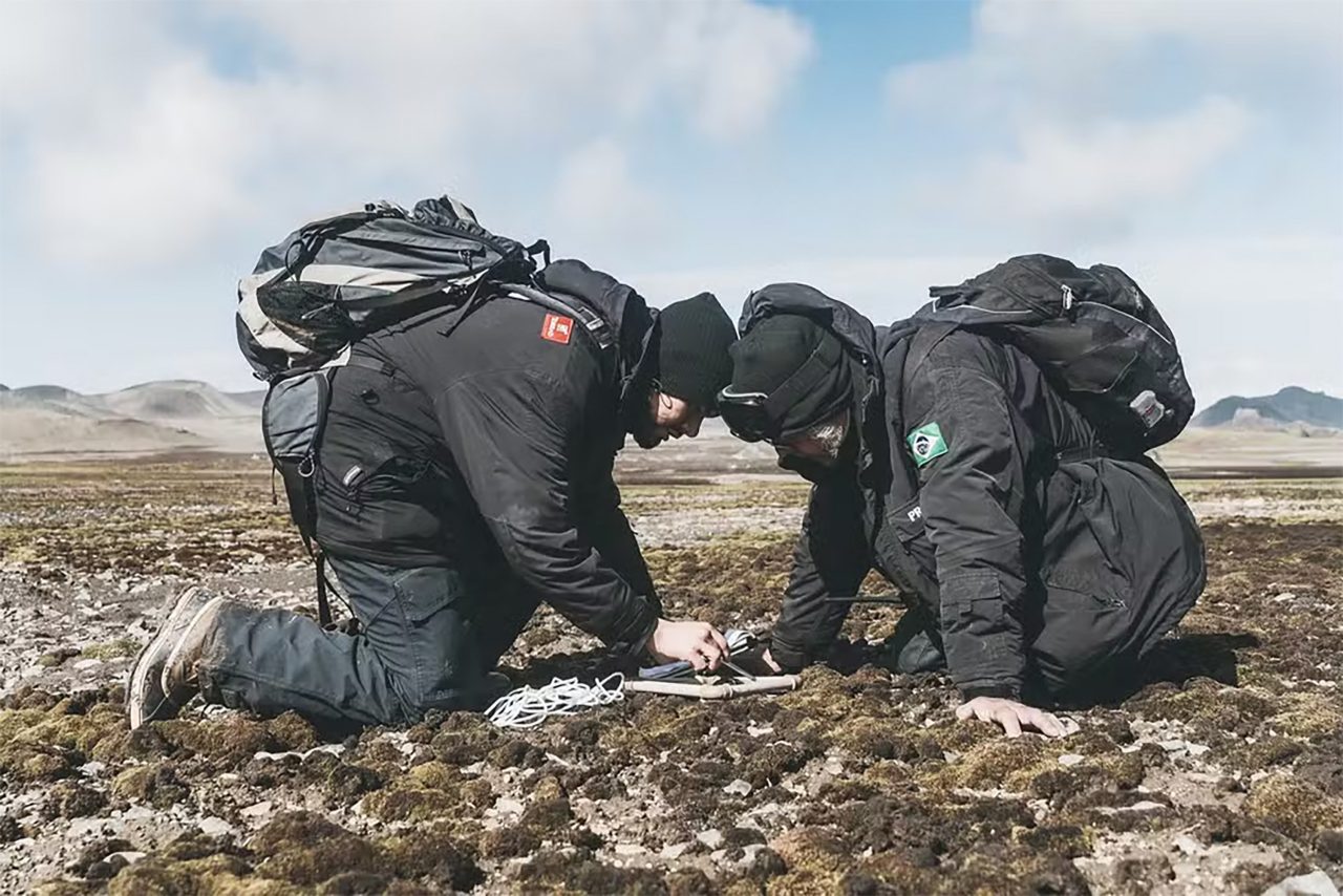 brasileiros-descobrem-novas-especies-de-cogumelos-na-antartica