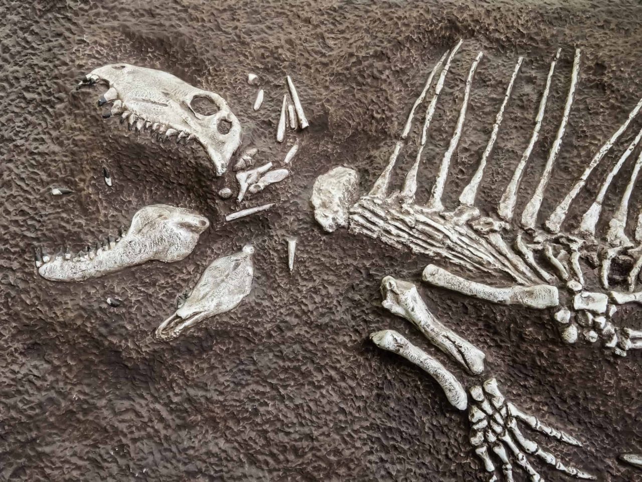 conheca-os-supercarnivoros-que-dominaram-a-terra-antes-dos-dinossauros