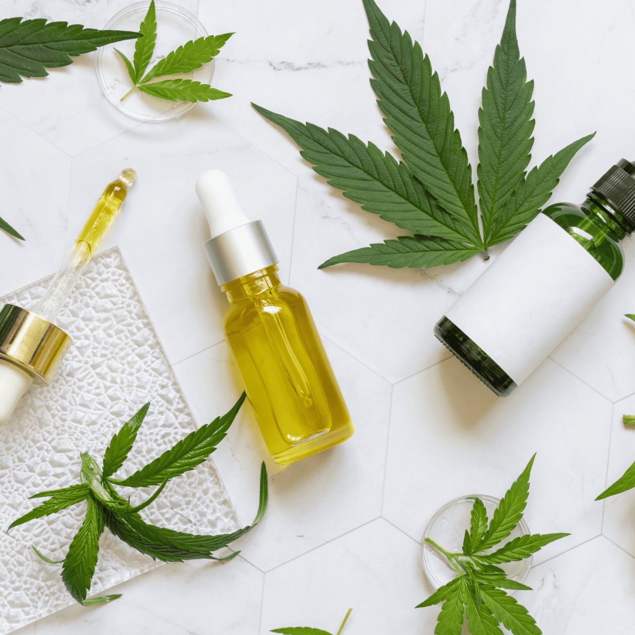 ‘primo’-do-canabidiol pode-aliviar-dores-cronicas,-revela-estudo