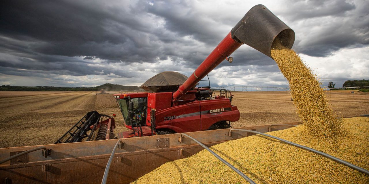 producao-brasileira-de-graos-deve-ser-14,2%-maior