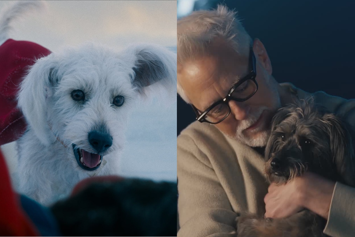 conheca-o-cachorro-real-que-inspirou-krypto,-companheiro-do-superman