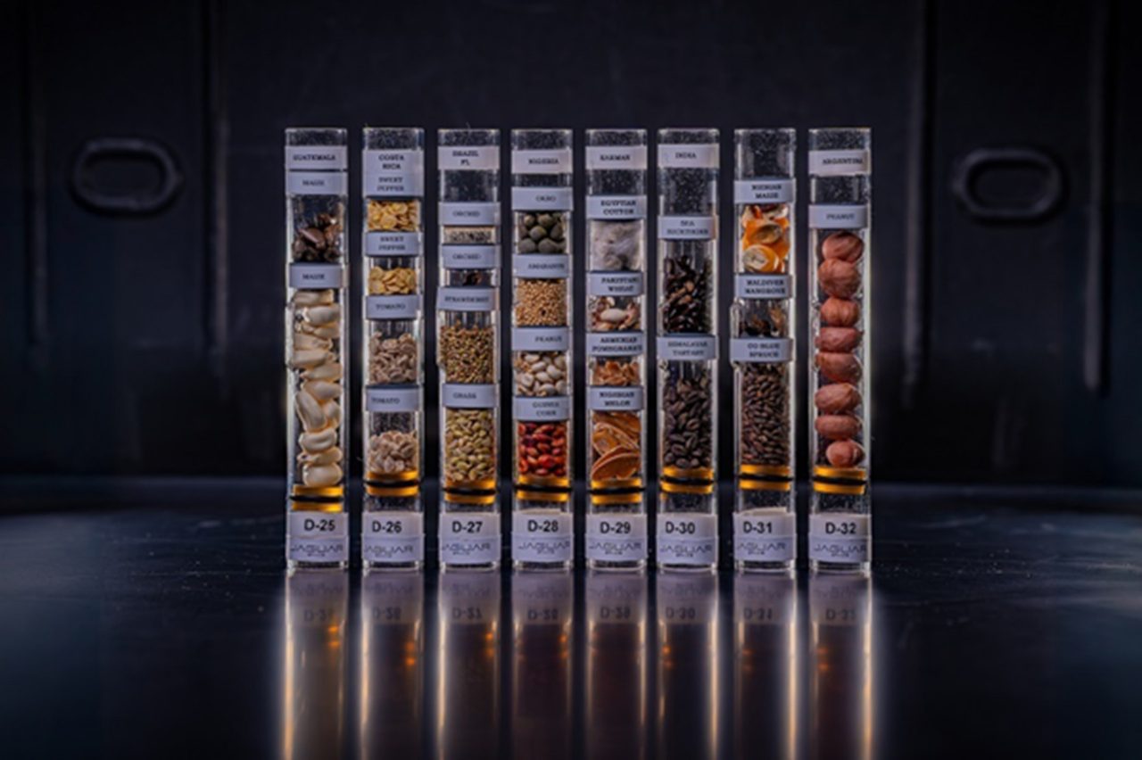 estacao-espacial-internacional:-brasil-vai-estudar-sementes-de-morango-enviadas-ao-espaco