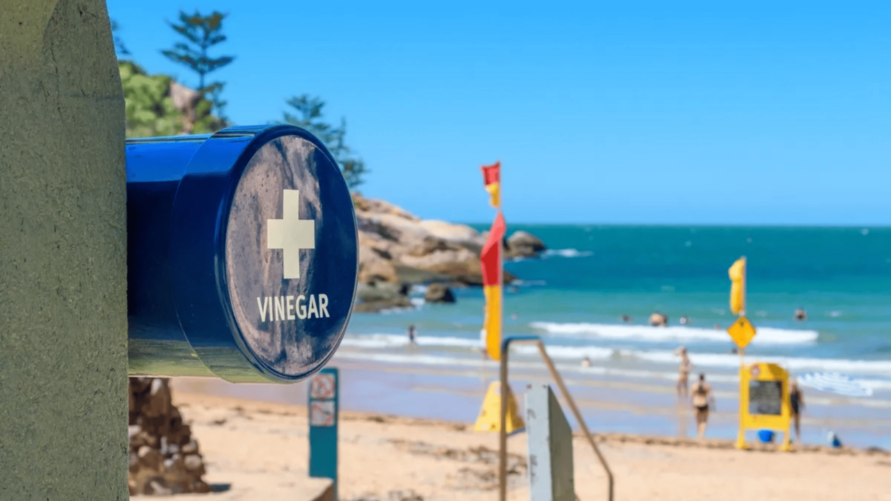 sabia-que-praias-australianas-tem-‘estacoes-de-vinagre’-na-areia?-entenda-o-porque