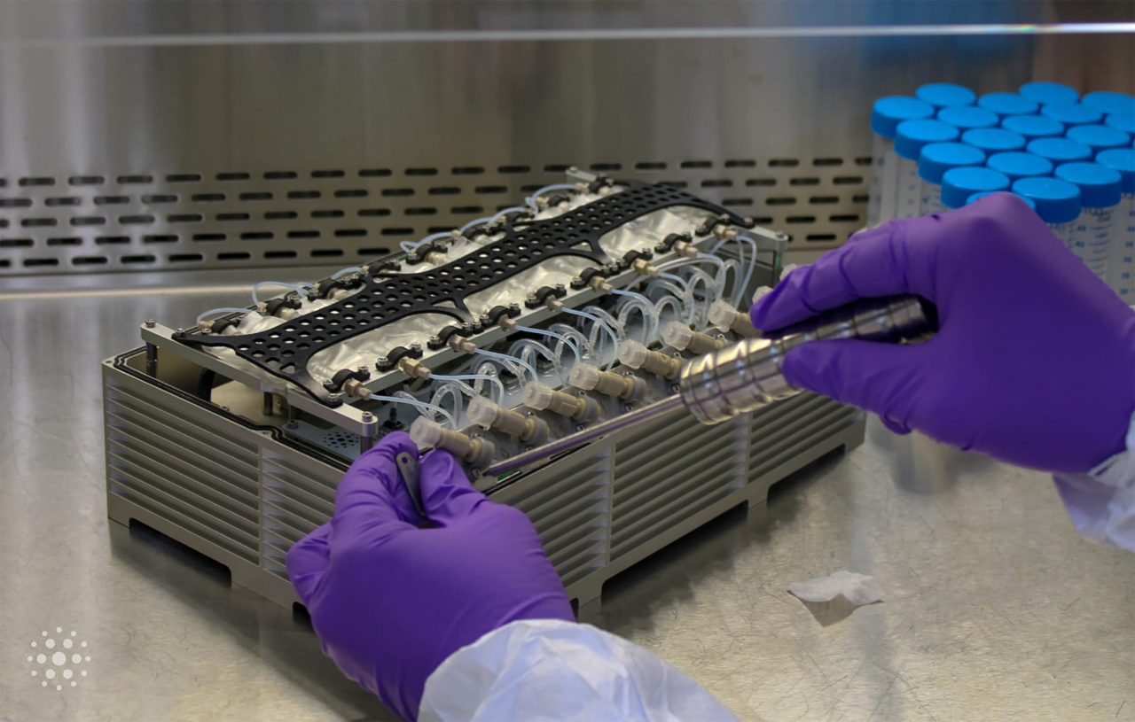 missao-tripulada-da-spacex-leva-bacterias-causadoras-de-doencas-a-estacao-espacial