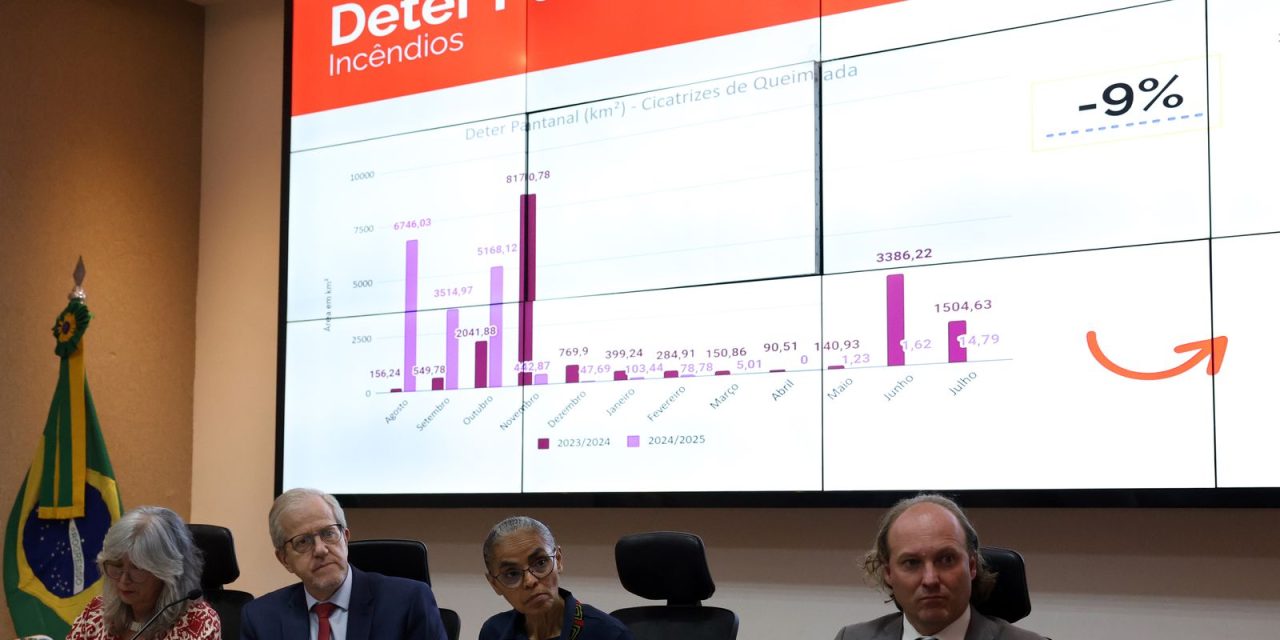 cerrado-e-pantanal-registram-reducao-de-areas-desmatadas