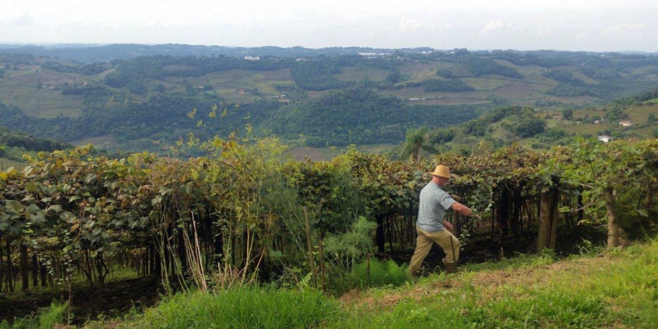 entrega-da-declaracao-do-itr-2025-comeca-nesta-segunda-feira