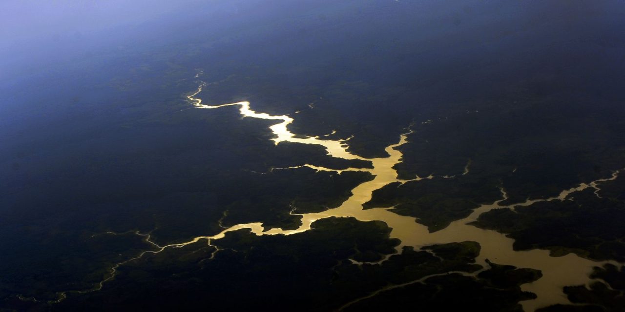 fundo-amazonia-completa-17-anos-com-novos-investimentos