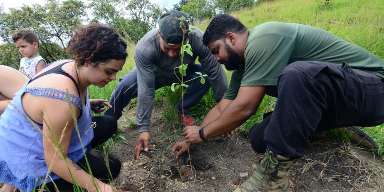 rio:-mutirao-na-serra-do-vulcao-promove-acoes-climaticas-da-periferia