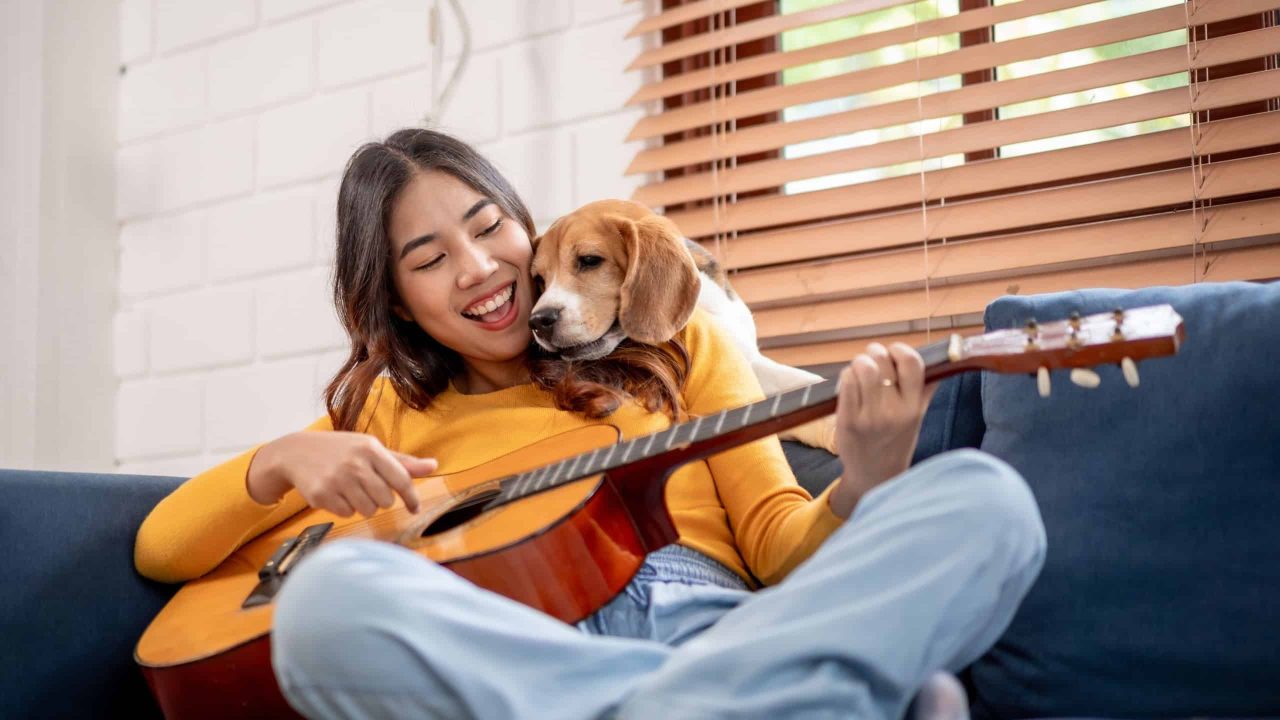 5-beneficios-de-conviver-com-caes,-segundo-a-ciencia